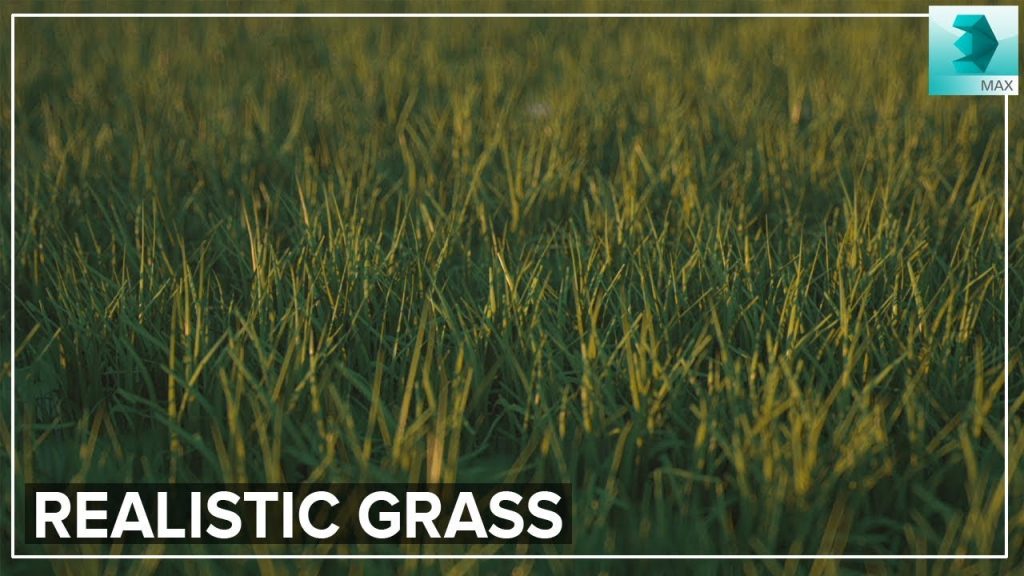 Realistic Grass in 3DS MAX & Octane Render Tutorial ( Forest Pack ) – CG Animation  Tutorials / 