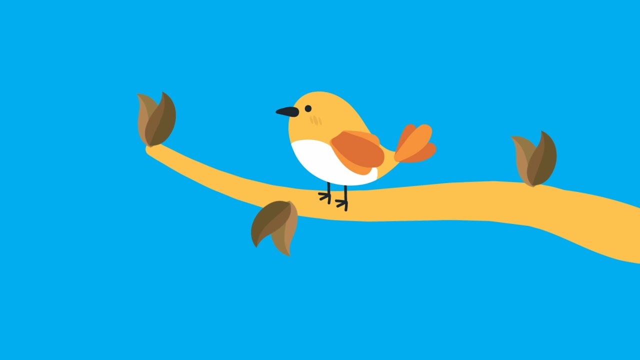 after effects download 2d bird