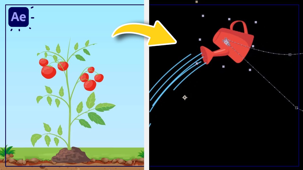 Vegetable Growing Animation with After Effects Tutorials CG Animation